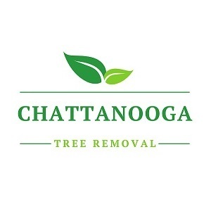 Chattanooga Tree Removal - Chattanooga, TN, USA