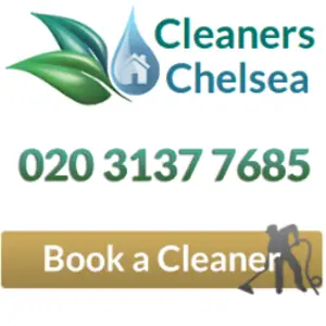 Professional Cleaners Chelsea