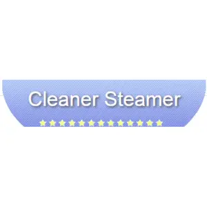 Cleaner Steamer - New  York, NY, USA