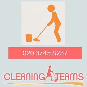 Cleaning Teams Logo