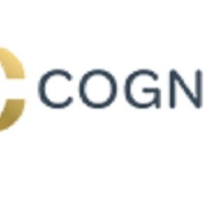 Cognis Group - Tampa, FL, USA