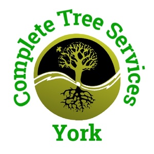 Complete Tree Services York - York, North Yorkshire, United Kingdom