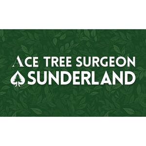Ace Tree Surgeon Sunderland - Sunderland, London N, United Kingdom