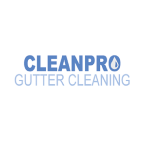 Clean Pro Gutter Cleaning Ann Arbor - Ann Arbor, MI, USA