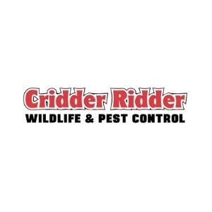Cridder Ridder - Kansas City, MO, USA