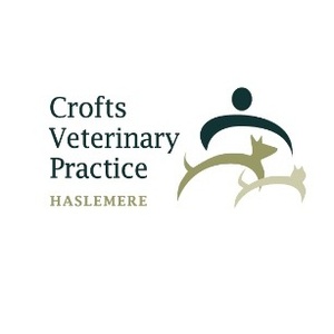 Crofts Veterinary Surgery - Haslemere, Surrey, United Kingdom