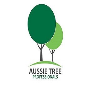 Aussie Tree Lopping Ipswich - North Booval, QLD, Australia