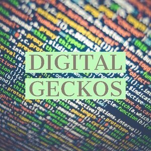 Digital Geckos - Truro, Cornwall, United Kingdom