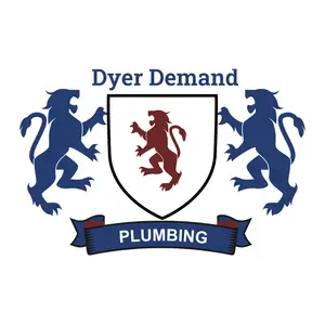 Dyer Demand Plumbing - San Jose, CA, USA
