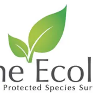 Hone Ecology Ltd - Headcorn, Kent, United Kingdom