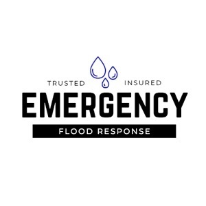Emergency Flood Response - Mississauga, ON, Canada