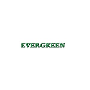 Evergreen Shrubs - Manchaster, Greater Manchester, United Kingdom
