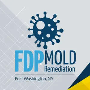 FDP Mold Remediation - Port Washington, NY, USA