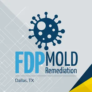 FDP Mold Remediation - Dallas, TX, USA