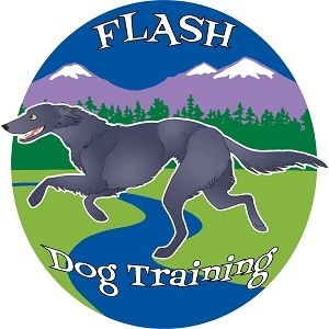 Flash Dog Training Broomfield Colorado - Broomfield, CO, USA
