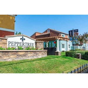 Peppertree Apartments - San Jose, CA, USA