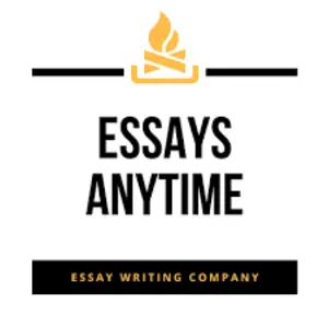 Essays Anytime - Chicago, IL, USA
