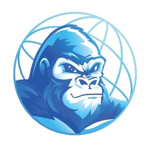 Gorilla Webtactics - Minneapolis, MN, USA