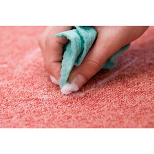 Carpet Cleaning Redbank Plains - Redbank Plains, QLD, Australia