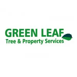 Greenleaf Tree & Property Services - Rumney, Cardiff, United Kingdom