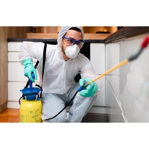 The Green Termite Removal Experts - New Castle, DE, USA