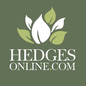 Hedges Online - Farnham, Surrey, United Kingdom