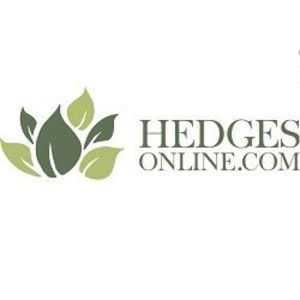 Hedges Online - Farnham, Surrey, United Kingdom