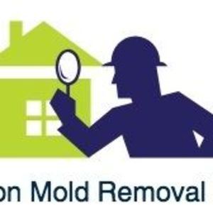 Hoschton Mold Removal Experts - Braselton, GA, USA