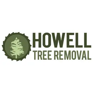 Howell Tree Removal - Waynesville, NC, USA