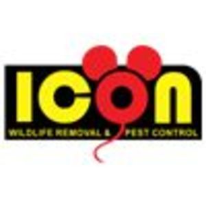 Icon Wildlife Removal & Pest Control - Toronto, ON, Canada