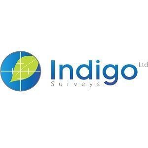 Indigo Surveys - Chester, Cheshire, United Kingdom