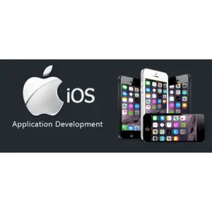 iphone application development - New  York City, NY, USA