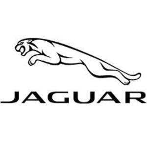 Jaguar Cincinnati - Cincinnati, OH, USA