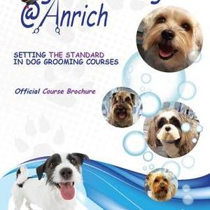 Dog Grooming @ Anrich - Wigan, Lancashire, United Kingdom