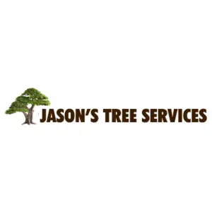 Jason\'s Tree Service - Phoenix, AZ, USA