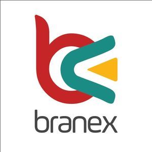 Branex-Web Design Agency In UK - Ilford, London N, United Kingdom