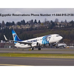 EgyptAir Booking - Las Vega, NV, USA