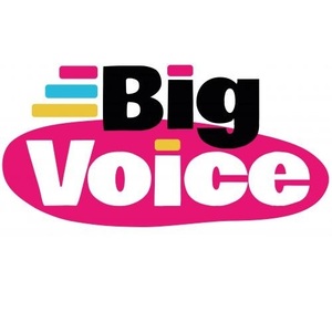Big Voice Ltd - Milton Keynes, Buckinghamshire, United Kingdom