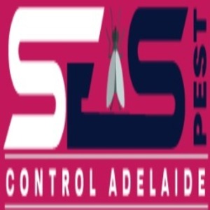 Rodent Pest Control Adelaide - Adelaide, SA, Australia