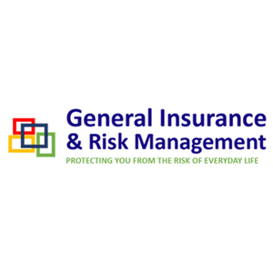 General Insurance & Risk Management - Atlanta, GA, USA