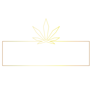 Local Cannabis Company - Springfield, MA, USA