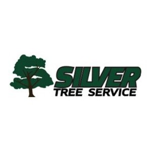 Silver Tree Services