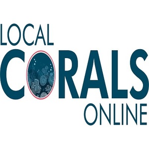 buy corals online, corals for sale uk, online corals, coral frags