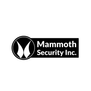Mammoth Security Inc. Norwalk - Norwalk, CT, USA