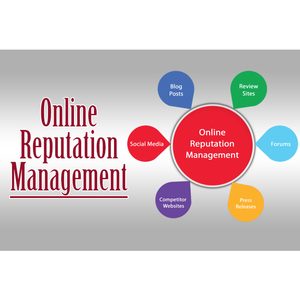 Online Reputation Management - Fort providence, NT, Canada