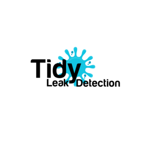 Tidy Leak Detection - Sunland, CA, USA