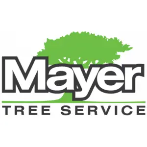 Mayer Tree Services - Peabody, MA, USA