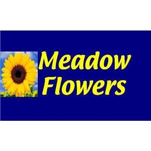 Meadow Flowers - Bathgate, West Lothian, United Kingdom