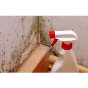 Mold Experts of Tampa - Tampa, FL, USA
