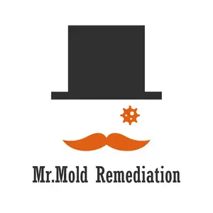 Mr.Mold Remediation - Bronx, NY, USA